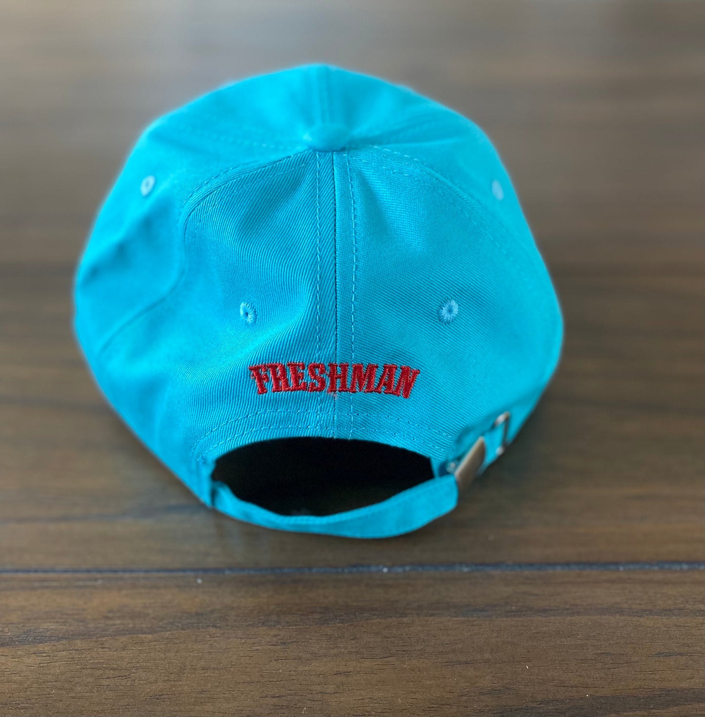 Panda Dad Hat - Teal